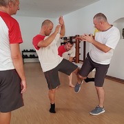 Týdenní  WingTsun seminář ve Vídni s GM Oliverem Königem