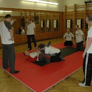 Semináře se Sifu Romanem Lázenským_Praha 6