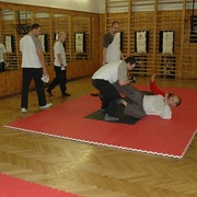 Semináře se Sifu Romanem Lázenským_Praha 6